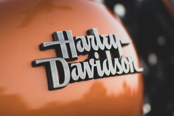 Partner organization logo placeholder one