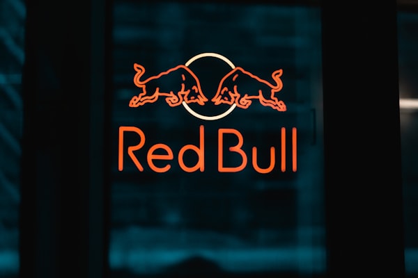 Partner organization logo placeholder three