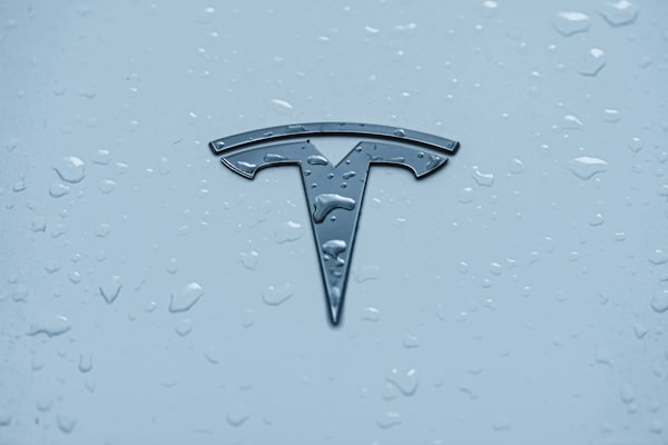 Partner organization logo placeholder four